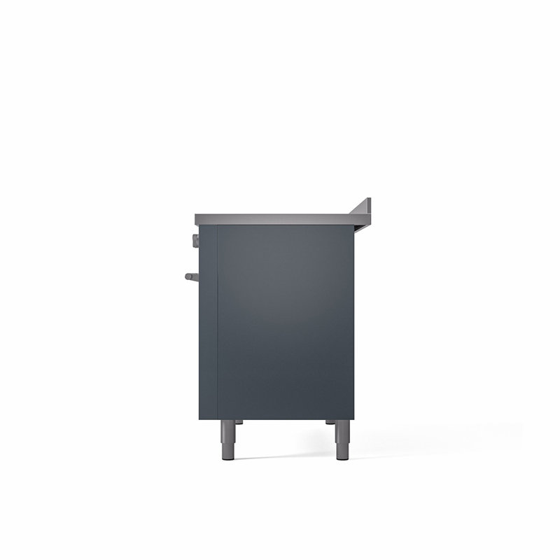 ILVE Professional Plus II 48 po à induction, 6 éléments à induction (porte pleine), Bleu gris