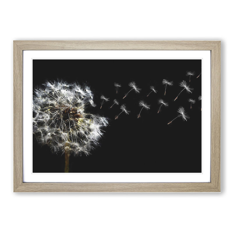 Dandelion Seeds Vol.10 - Picture Frame Graphic Art, 27cm H x 36cm W x 2cm D, Oak Framed