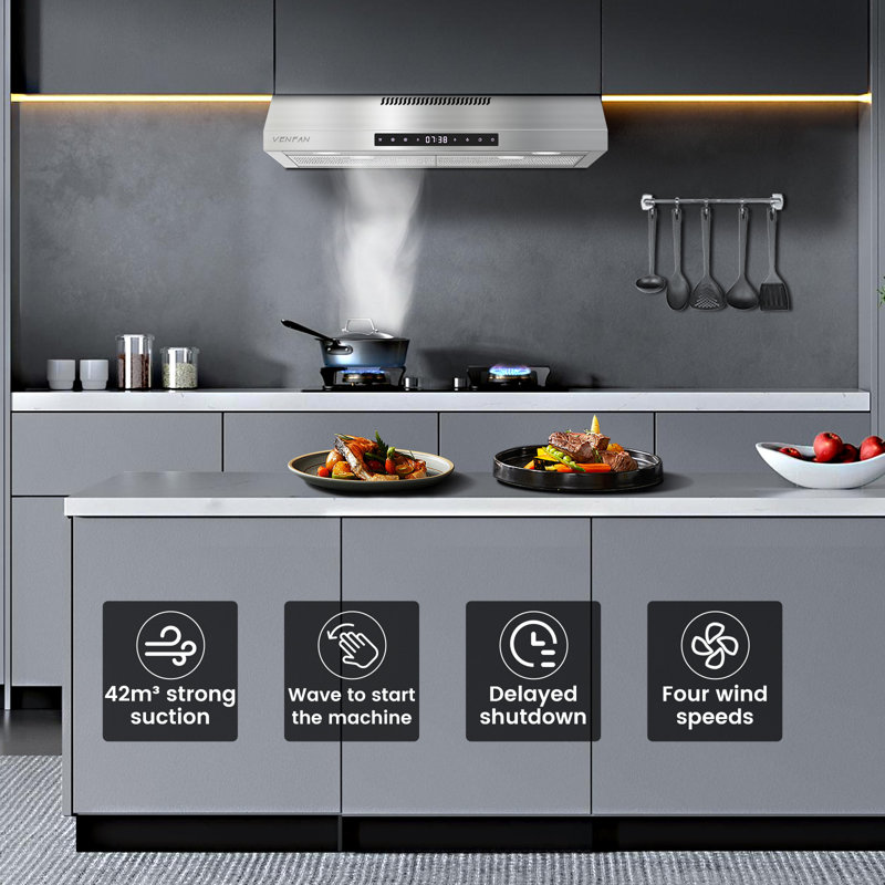30'' Stainless Steel Convertible Under Cabinet Range Hood with Charcoal Filter