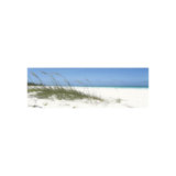 Dune Grasses Print by Malcolm Sanders