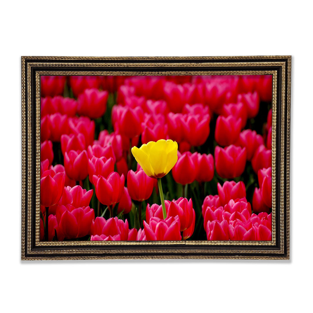 Tulpen Strenth Gerahmter Druck