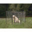Enclos pour chien Darla-30992029