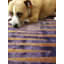 One-of-a-Kind 6'10" x 8'11" Area Rug