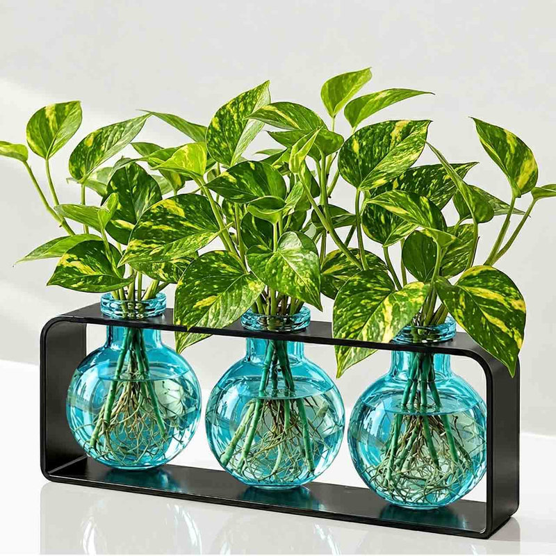Ensemble de vases de table 3 pièces Blooms Aqua, Bleu turquoise