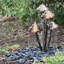 Outdoor Metal Sculptural Fountain