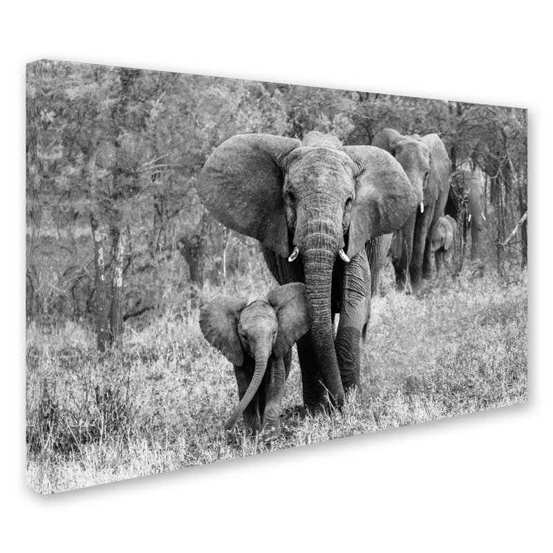 Elefamily Black and White Canvas Art with Wood Frame