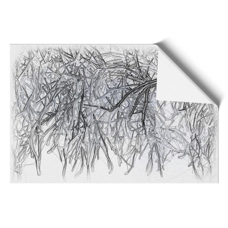 Tree in the Winter Sketch - Frameless Print, 59cm H x 84cm W x 0.1cm D
