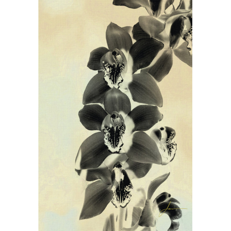 Orchid Blush Panels IV by James Burghardt - Wrapped Canvas Art Prints, 46cm H x 30cm W x 3.8cm D