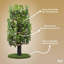 Dinuk 60'' H Cat Tree