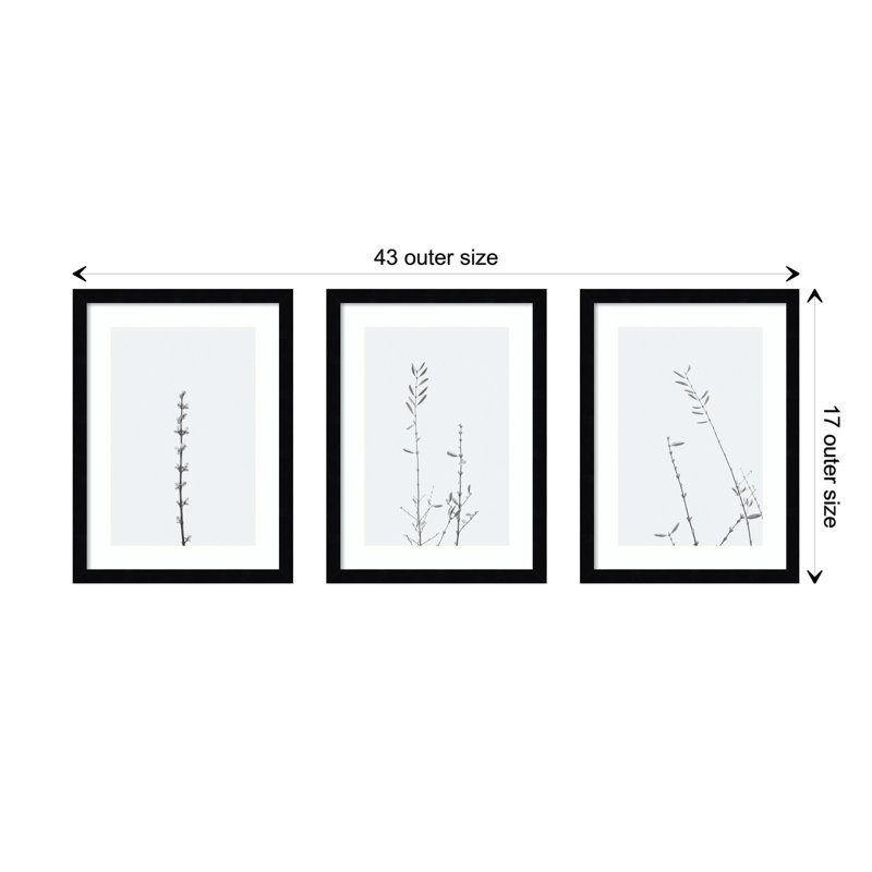 Retro Tennessee Botanical Prints by Adela - 3 Piece Single Picture Frame Photograph Set, Black, 17" H x 43" W x 1" D