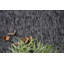 Ensemble de tapis géométriques en nylon tufté à la machine pour intérieur/extérieur-169120559-167158824