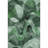 Nofer Area Rug with Non-Slip Backing-1319490200
