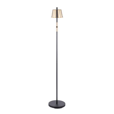 Lampe sur pied Metric Industrial en noir et laiton antique