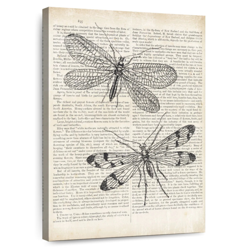 Libellules Brampt rétro sur papier journal, H 12 po x l 8 po