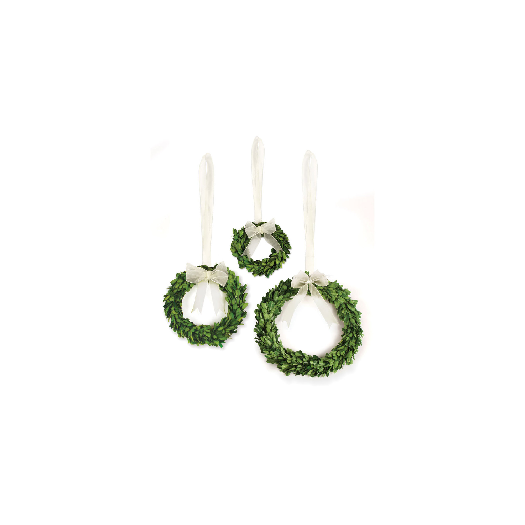 10'' Easter Preserved Boxwood Wreath, White