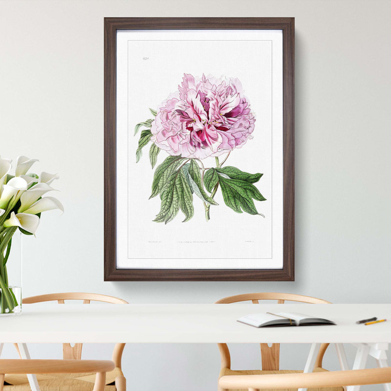 Pink Tree Peony Flower - Picture Frame Painting Print, 65cm H x 48cm W x 2cm D, Walnut Framed
