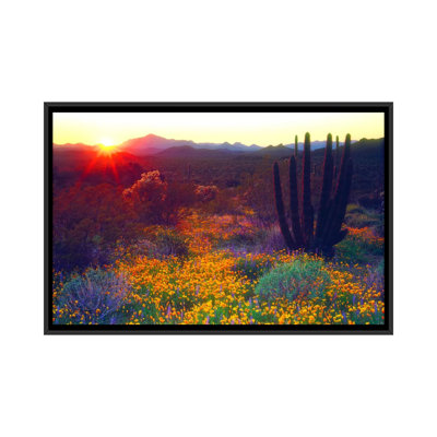 " Sunset Over An American Southwest Landscape "