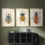 Beetle Bug I - reproduction sur mesure encadrée de qualité supérieure - 3 pièces-1085759435