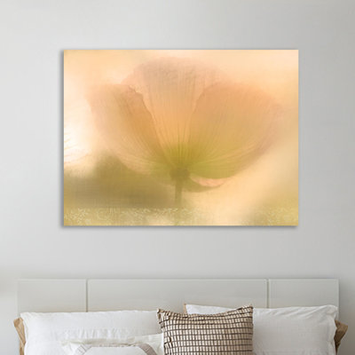 Golden Poppy by Kimberly Allen - Wrapped Canvas Print