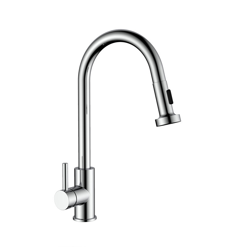Belfry Kitchen Gambier Pull Out Kitchen Faucet