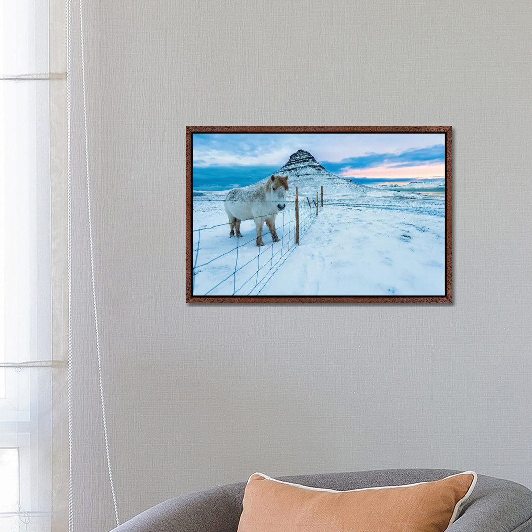 Kirkjufell Morn by David Gardiner - Photograph on Canvas