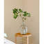 Tige de fausse branche de Pieris-2109992349