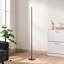 Allana 57.5"  Dimmable LED Novelty Corner Floor Lamp-161479213-216518601-216518607