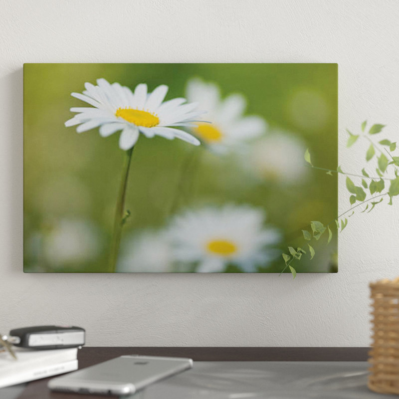 « marguerites », impression sur toile, H 8 po x l 12 po x P 0,75 po, Toile tendue, Pas de tapis