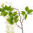 Arrangement-1145418785