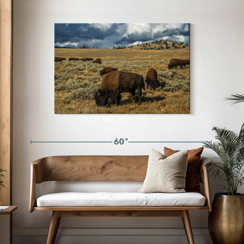 Bison Brampt Yellowstone, H 30 po x l 45 po