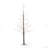 Collbran 48'' Lighted Trees & Branches