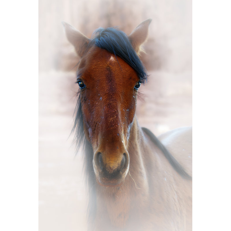 Portrait de cheval I, H 18 po x l 12 po x P 1,25 po
