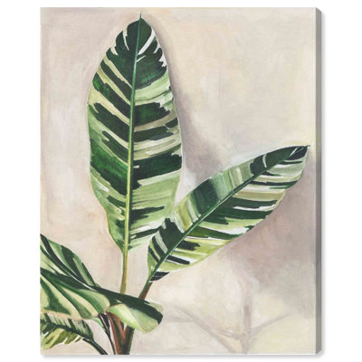 «Nice Plants», impression sur toile tendue