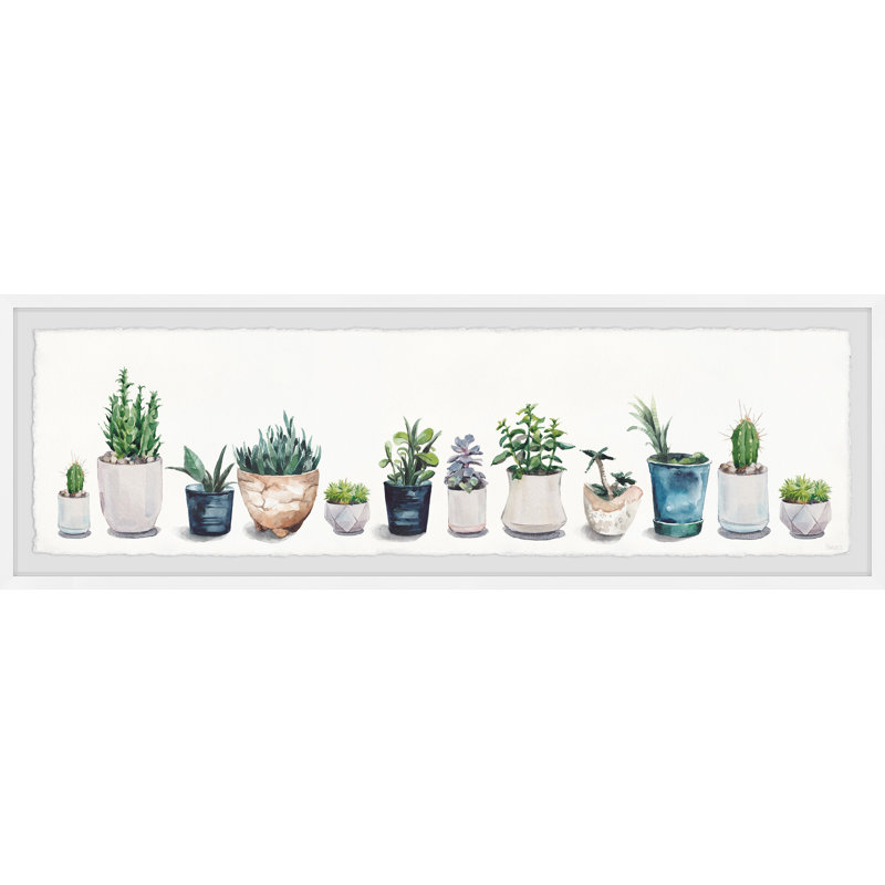 Succulents And Sunshine by Parvez Taj - Single Picture Frame Painting, 25cm H x 76cm W