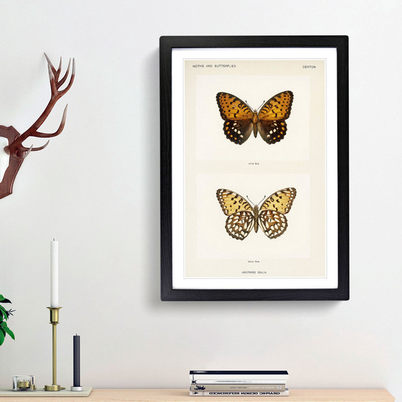Regal Fritillary Butterfly by S.F. Denton - Picture Frame Painting Print, 65cm H x 48cm W x 2cm D, Black Framed