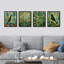 Birds And Lush Botanicals Vibrant Jungle And Garden, impression sur papier, 4 pièces-97782542-97782543