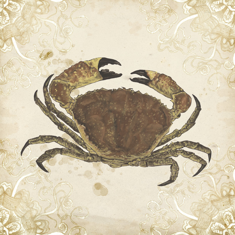 La Mer Shellfish II by Melissa Wang - Wrapped Canvas Painting, 122cm H x 122cm W