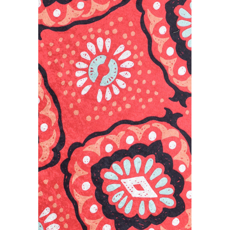 Premium Hall Carpet, 100% Polyester, 39.4 x 78.7 Inches | 4 mm Pile Height, 10 mm Total Thickness | Antibacterial, Non-Slip Underside, Machine Washable | Perfect for Entryway, Living Room & Home Décor