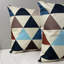 Aunya Chevron Square Cushion