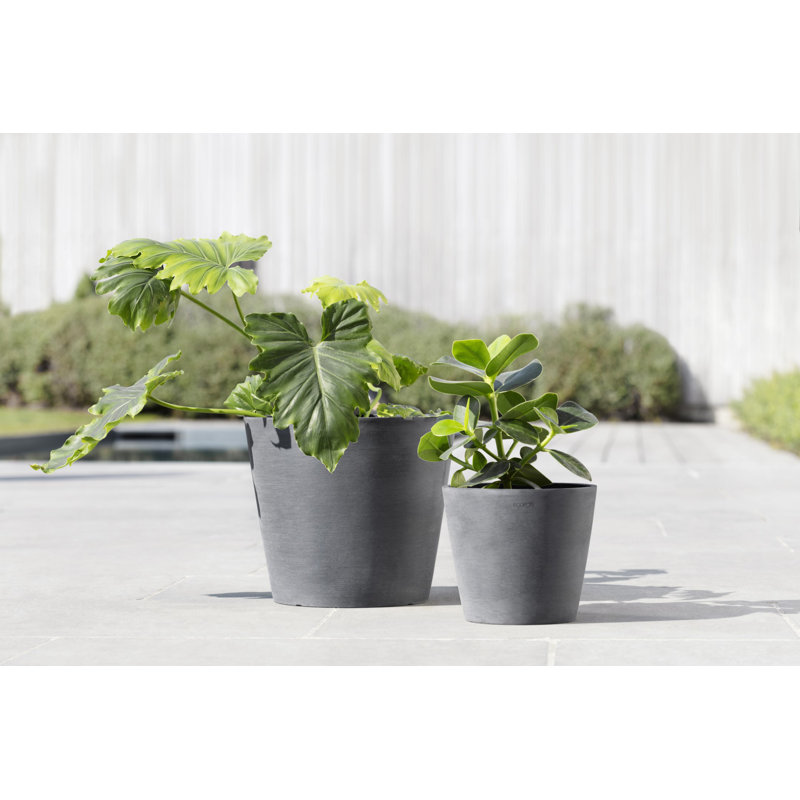 Leihlani Pot Planter
