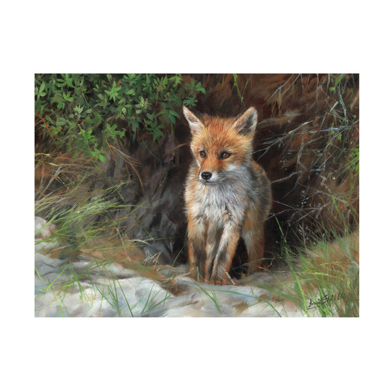 «David Stribble Young Red Fox», art sur toile, H 14 po x l 19 po