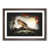 Walnut Framed