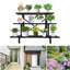 Support pour plante Susian