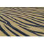 Animal Print Area Rug