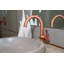 Priya Single Hole Bathroom Faucet with Drain Assembly-40767416