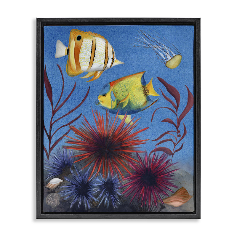  «Seafaring Fish & Urchins», art mural sur toile par Michelle Ingari Designs, Cadre flottant noir de jais, H 21 po x l 17 po