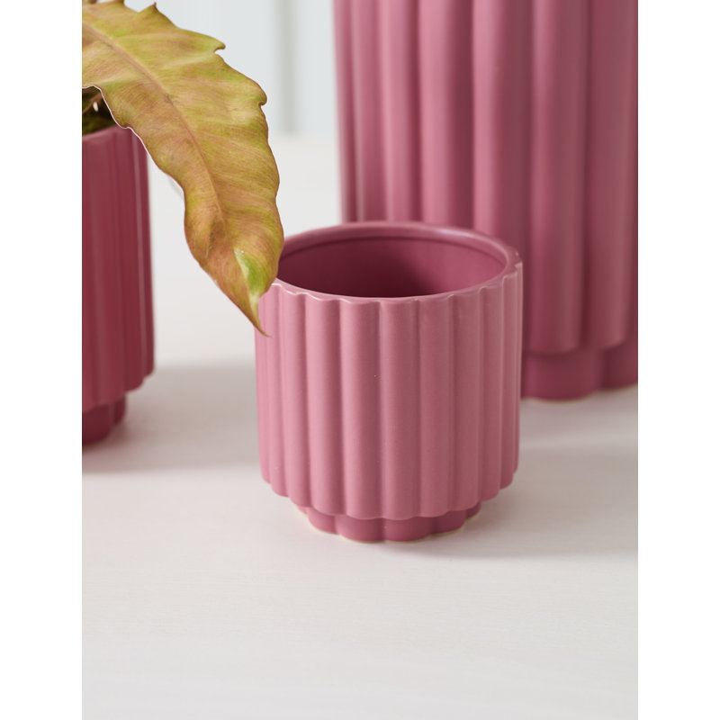 Jubi Carlin Pot