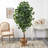 72'' Faux Ficus Tree in Burlap, Cotton Planter