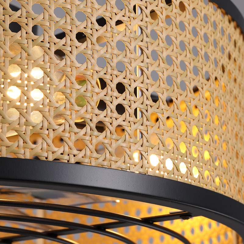  Ventilateur de plafond en cage 20 "Munho