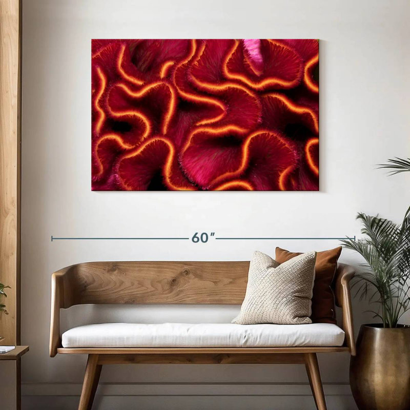 Corail rouge Brampt, H 30 po x l 45 po